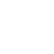 Electricians icon